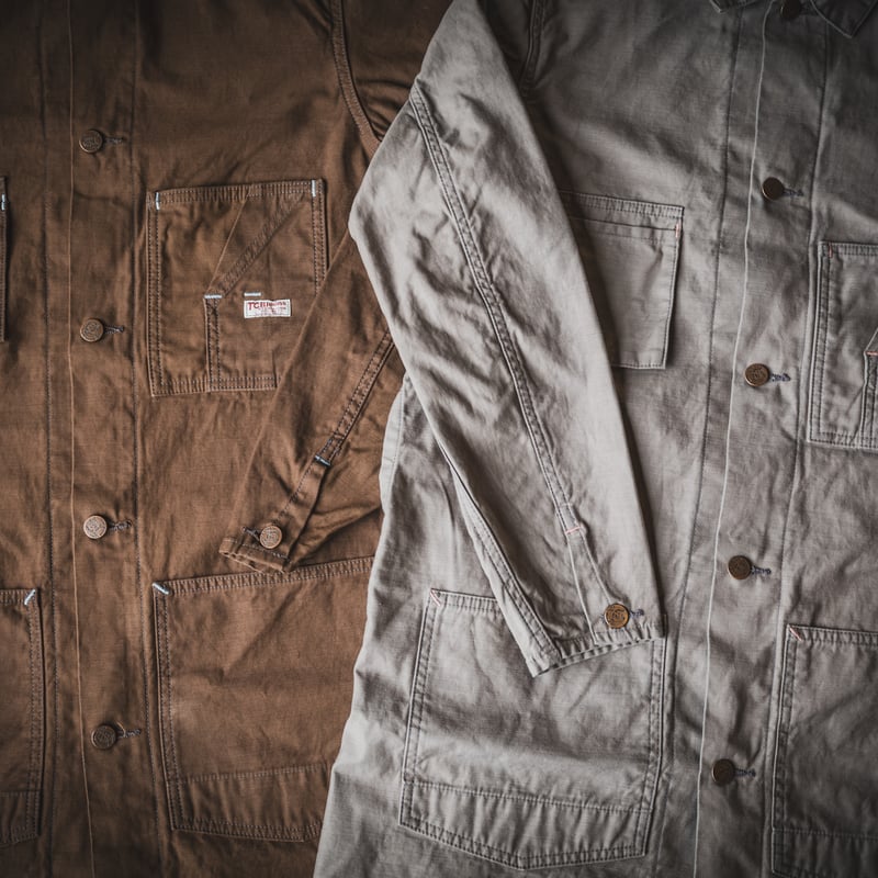 Tabby's Coat Havana Brown/ British Short Hair