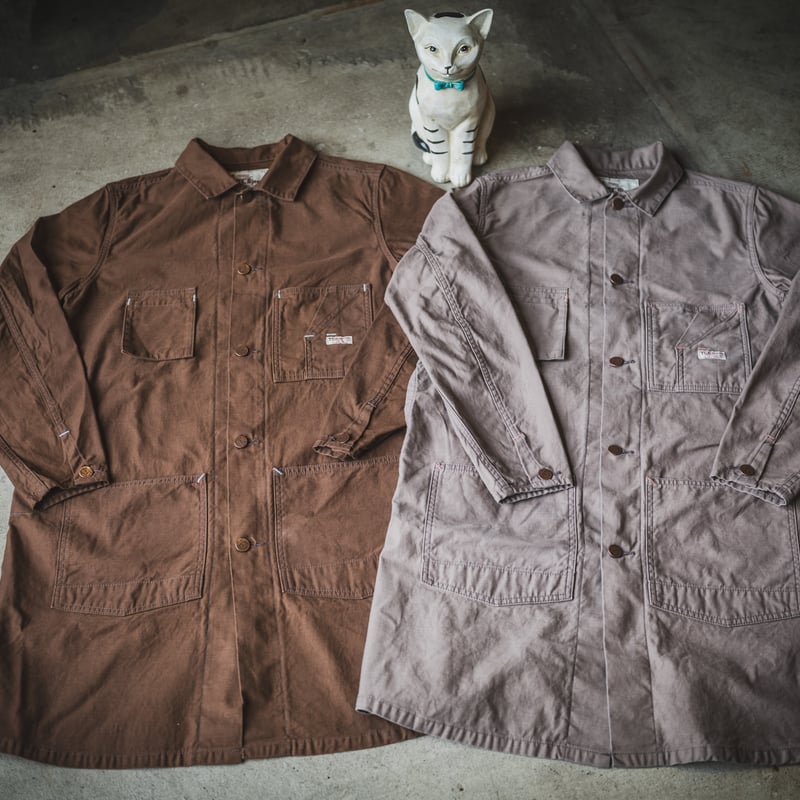 Tabby's Coat Havana Brown/ British Short Hair