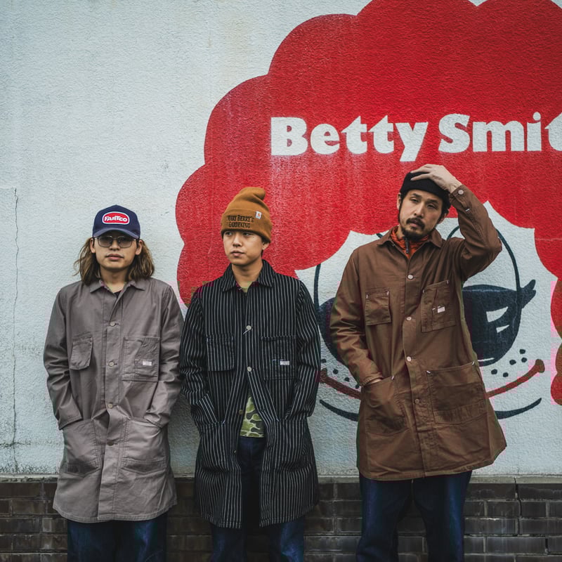 Tabby's Coat Havana Brown/ British Short Hair