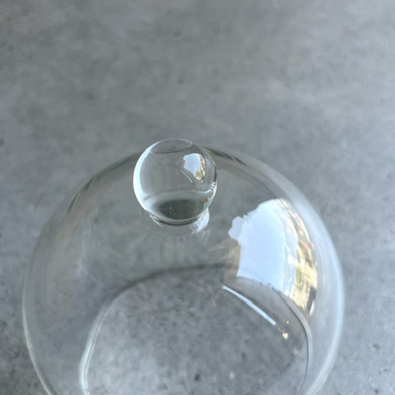 ミニガラスドーム | TORYBAZAR