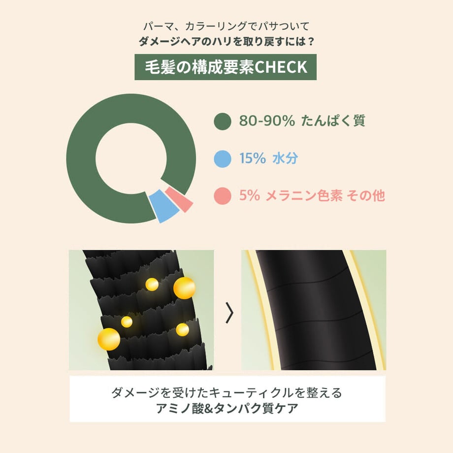 5dfc9cd4a551d56d620693d5