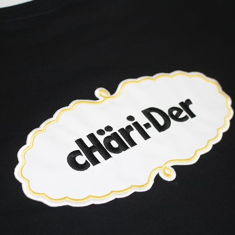 プレミアムアイスロゴ　ヘビーウェイトＴシャツ