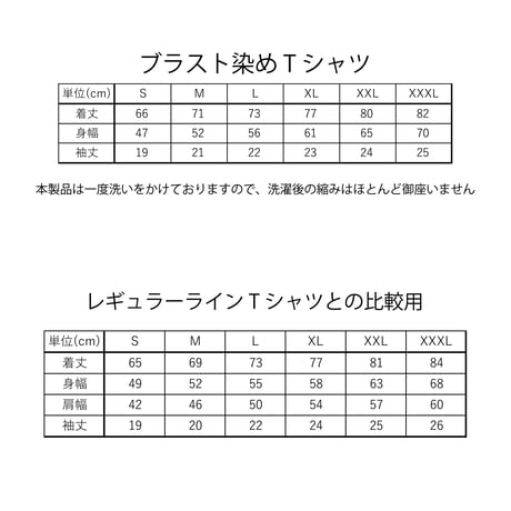アイスロゴシャーベットTシャツ