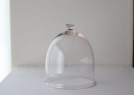 dome  XL / daigo kikuchi