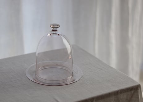 flat plate M / daigo kikuchi