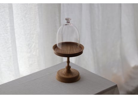 dome M / daigo kikuchi