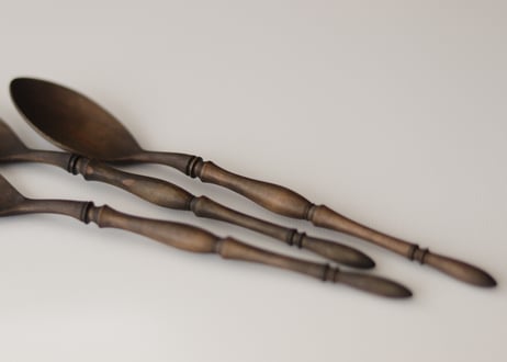 desert spoon /  jungo suzuki