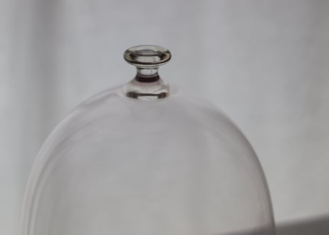dome  XL / daigo kikuchi
