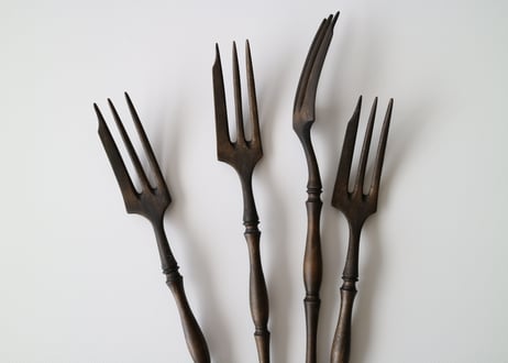 cake fork /  jungo suzuki