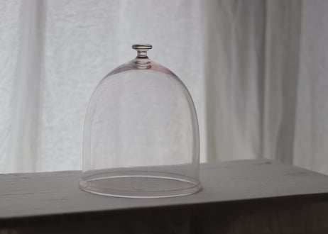 dome  XL / daigo kikuchi