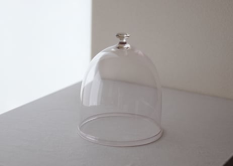 dome  XL / daigo kikuchi