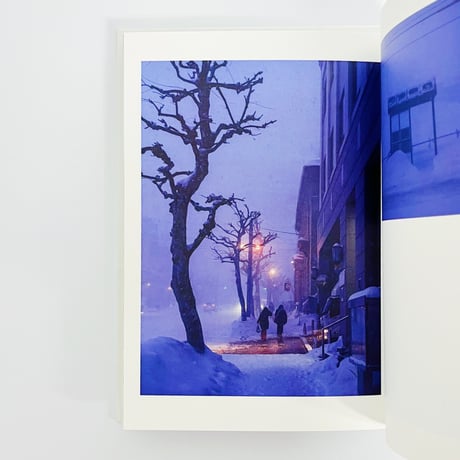 Lee Junsik｜Blue bird was there