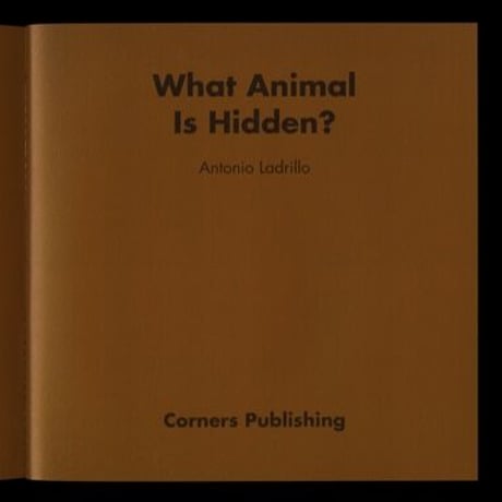 Antonio Ladrillo｜What Animal Is Hidden?