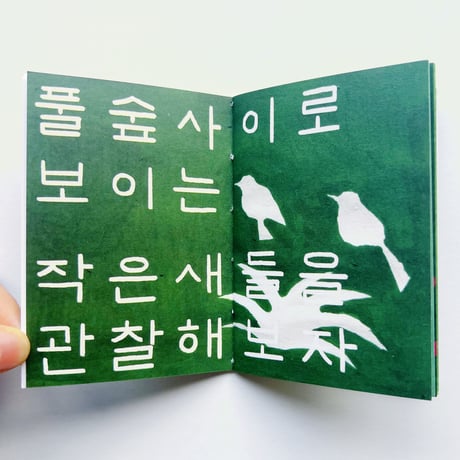 ヨリ｜BIRD WATCHING　GREEN