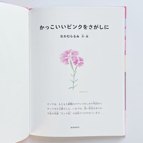 なかむらるみ｜かっこいいピンクをさがしに