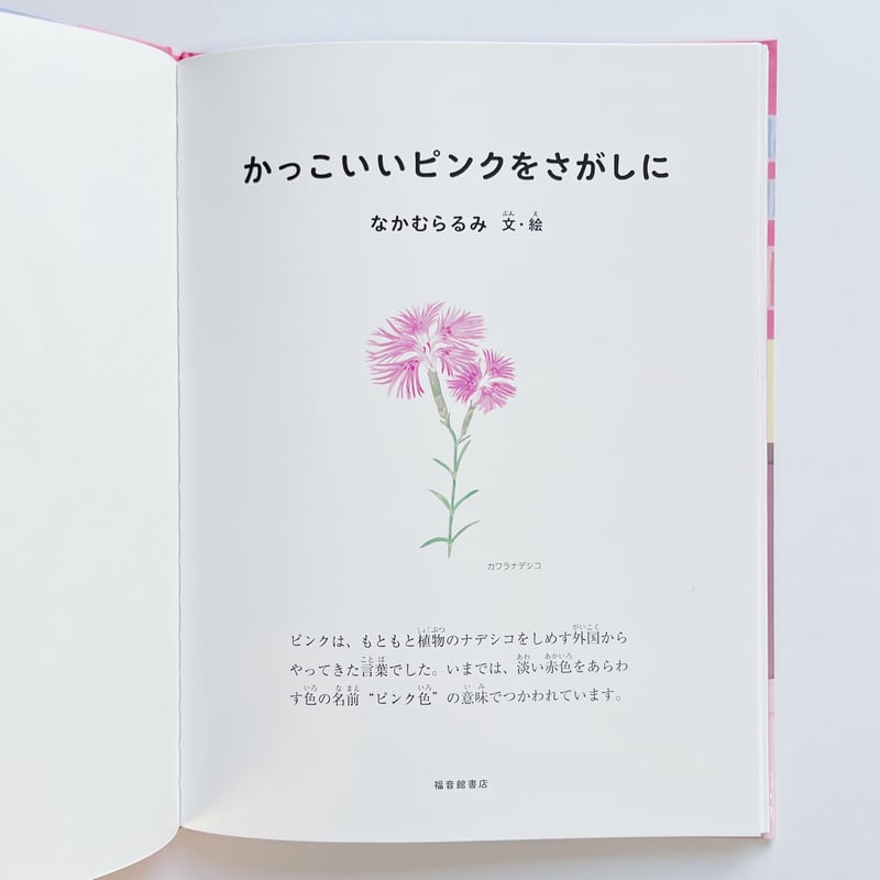 なかむらるみ｜かっこいいピンクをさがしに | POPOTAME Books & Art