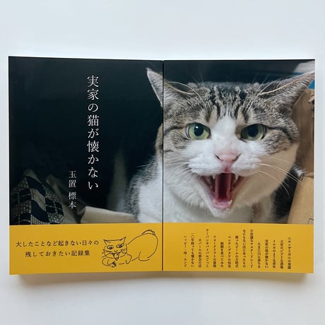 玉置標本｜実家の猫が懐かない