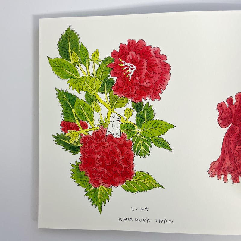 サイン入】中村一般（中村雅奈）｜まもりばな | POPOTAME Books & Art