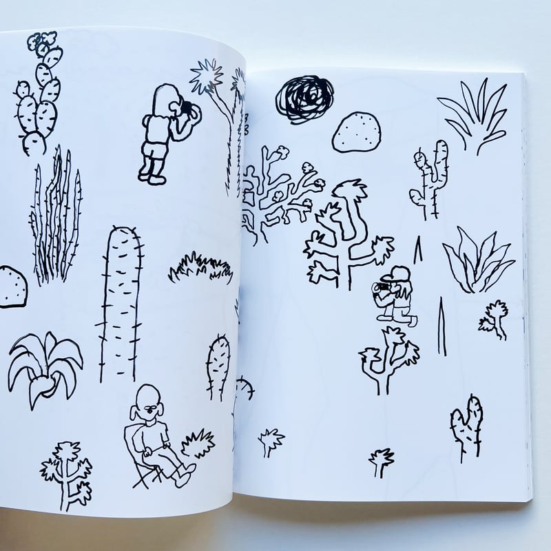 Bird Pit｜California Dream | POPOTAME Books & Art