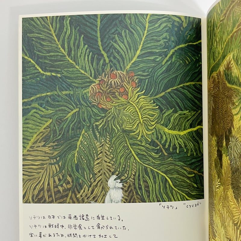 サイン入】中村雅奈｜GREEN SHELTER | POPOTAME Books & Art