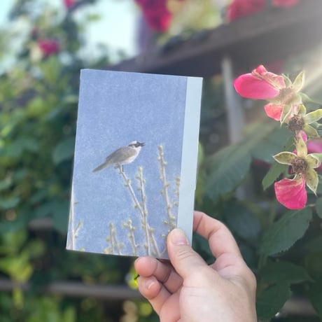 ビョン・ヨングン｜BIRD