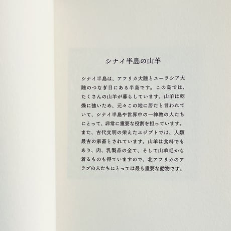 八多沙織, 畑 裕一｜山羊の唄