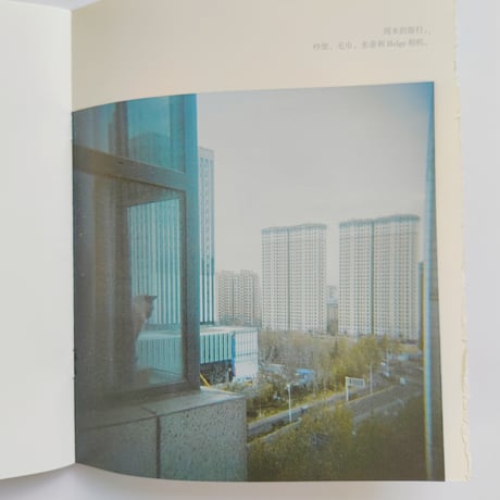 Wei Zihan｜Mitani / I Did Nothing Other Than to Tell Them to Smile