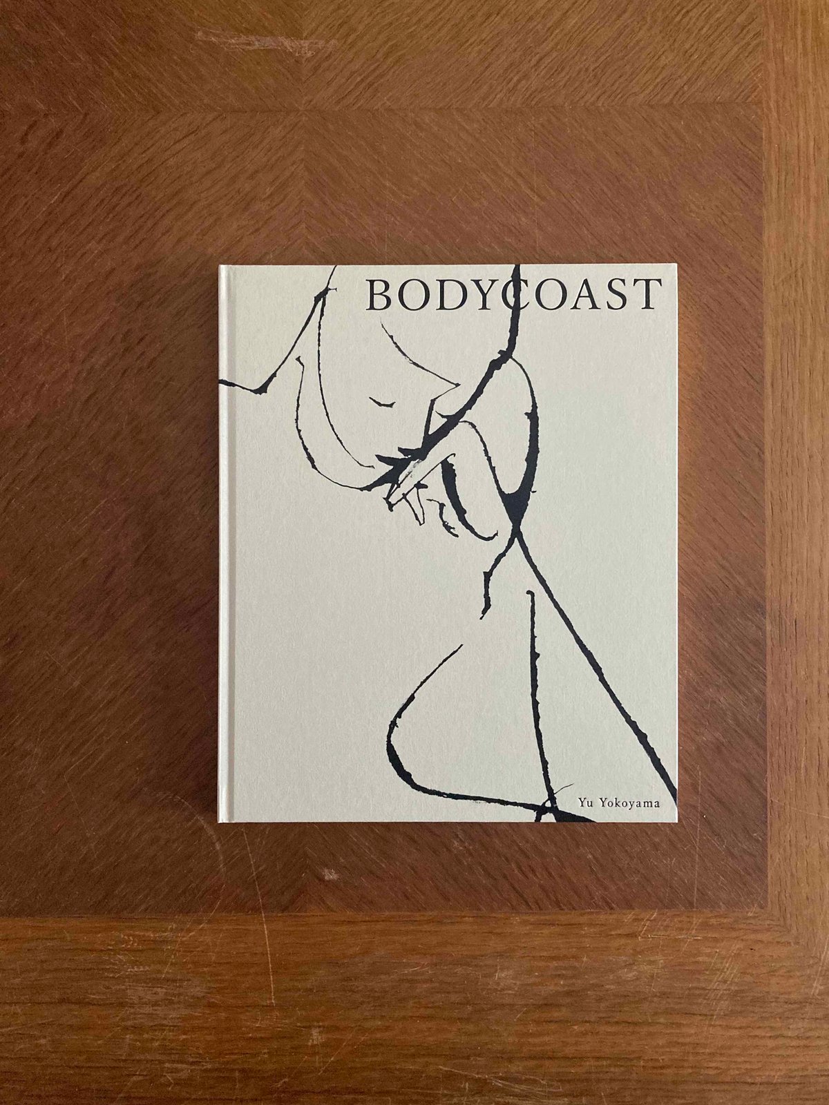 横山雄作品集『BODY COAST』【サイン入】 | POPOTAME Books & Art 横山雄作品集『BODY COAST』【サイン入】 | POPOTAME Books & Art