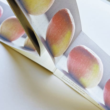 Ke Xu 许珂、Yue Zhou 周玥｜36 Apples