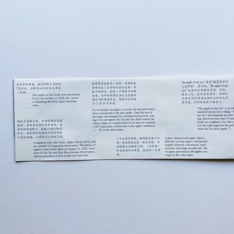 Ke Xu 许珂、Yue Zhou 周玥｜36 Apples
