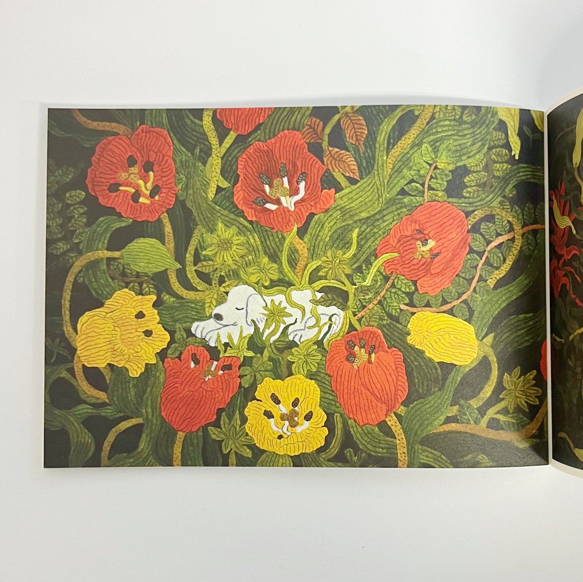 サイン入】中村雅奈｜DANCE OF LEAVES | POPOTAME Books & Art