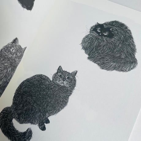 Tonnyapar's Cats Art 2｜WHITE & BLACK