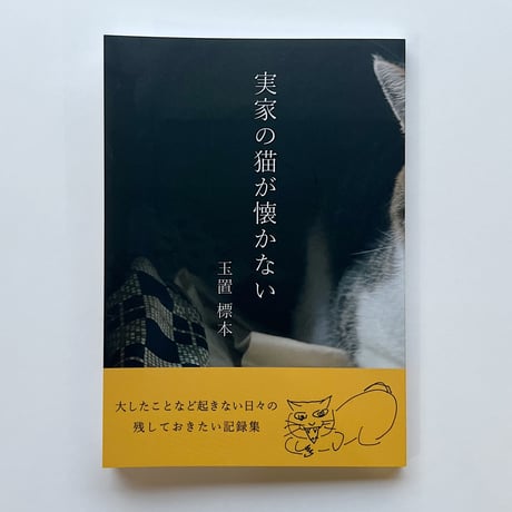 玉置標本｜実家の猫が懐かない