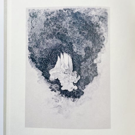 柴田高志/ Mount Analogue
