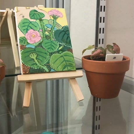 イケガミヨリユキ｜植物生活 Life with plant life