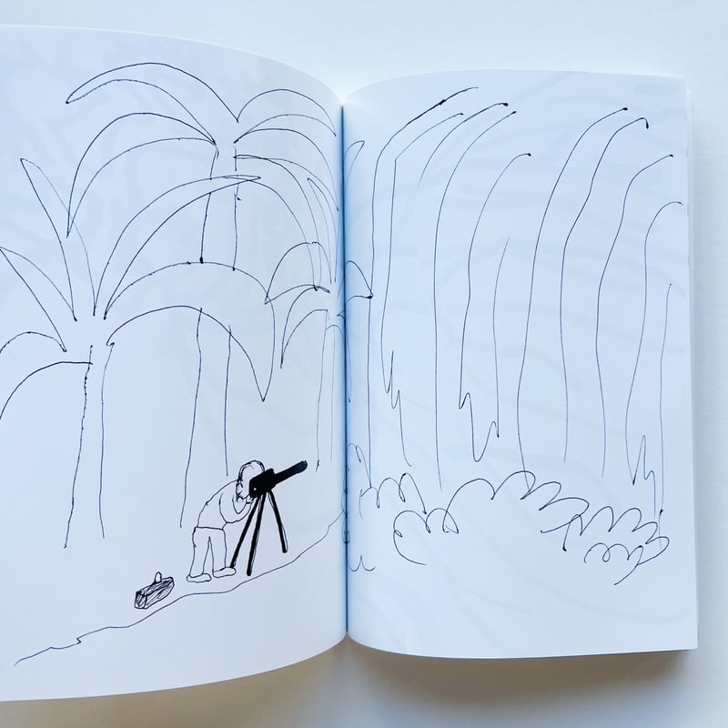 Bird Pit｜California Dream | POPOTAME Books & Art