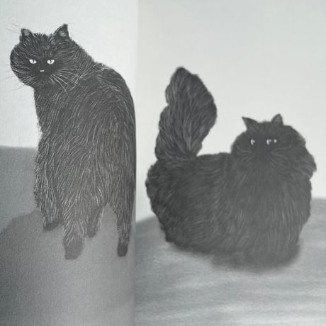 Tonnyapar's Cats Art 2｜WHITE & BLACK