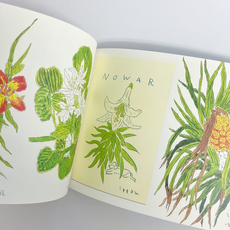サイン入】中村一般（中村雅奈）｜まもりばな | POPOTAME Books & Art