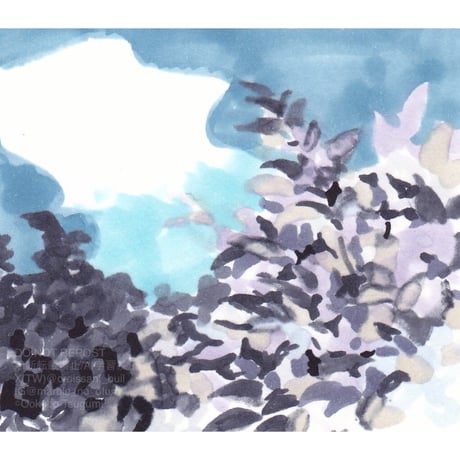 大久保つぐみ原画｜ 静かな日の青