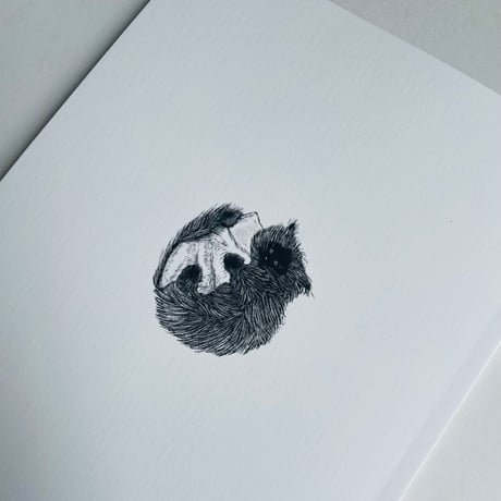 Tonnyapar's Cats Art 2｜WHITE & BLACK