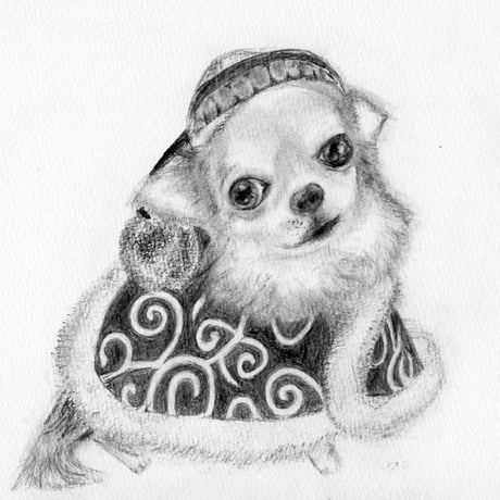 新開のり子｜鉛筆画集　フィロソファー・オブ・ザ・ワールド