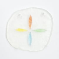 hiroko watanabe | 北の光