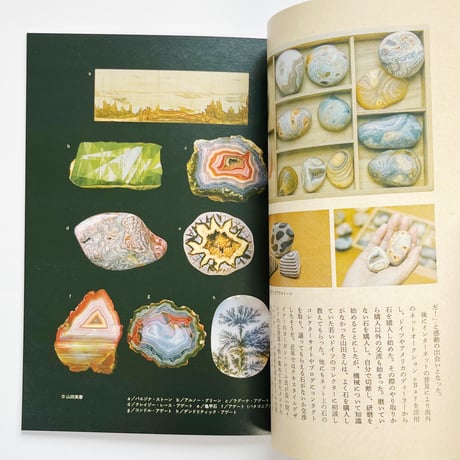 Flâneur Vol .6　探求する人々 菌の人/ 石の人/ 祭の人