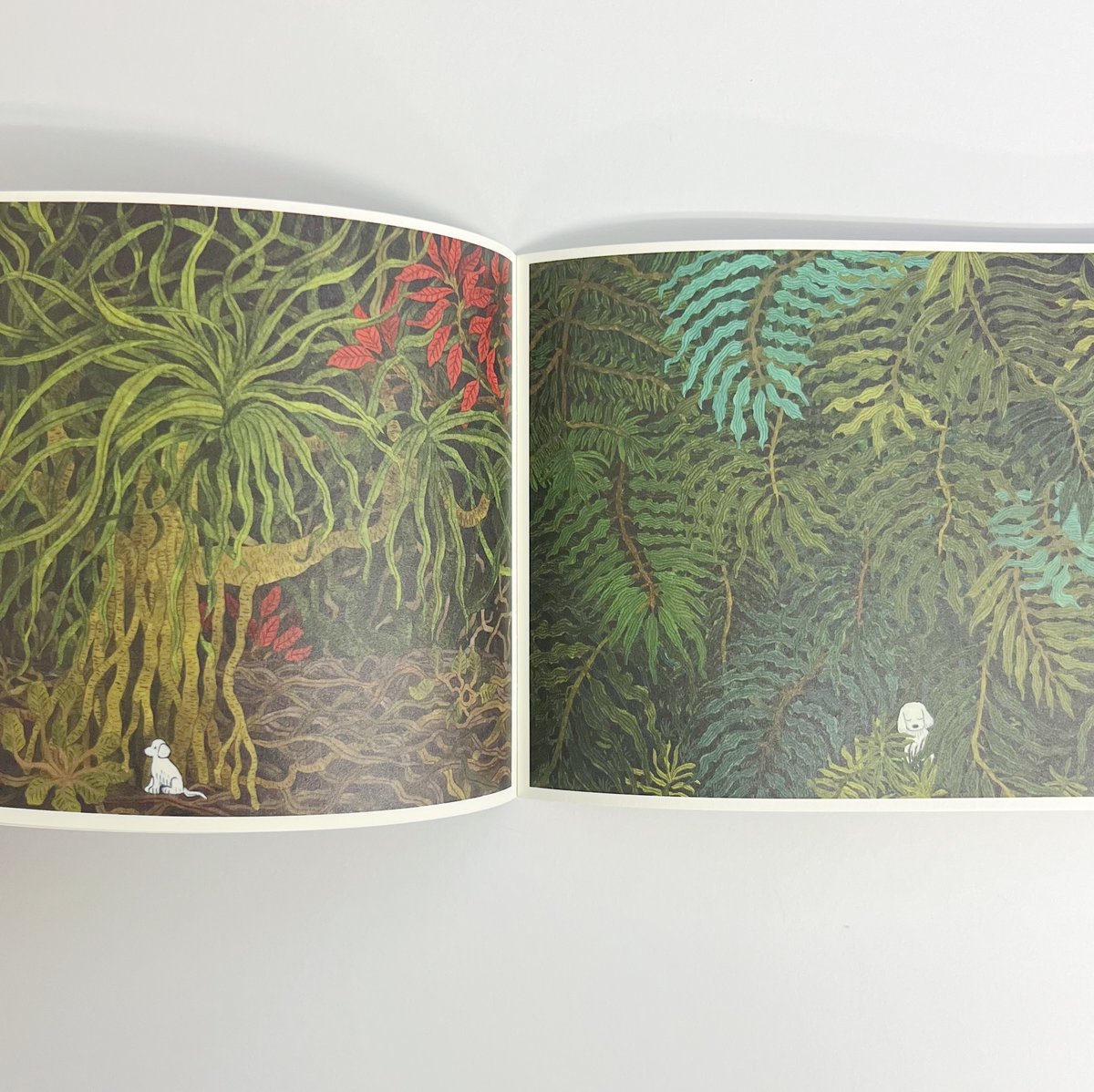 サイン入】中村雅奈｜DANCE OF LEAVES | POPOTAME Books & Art