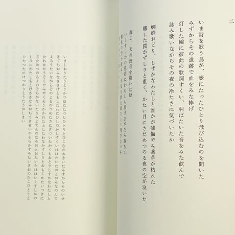 福田尚代｜わたしたち、言葉になって帰ってくる（イラスト署名入）