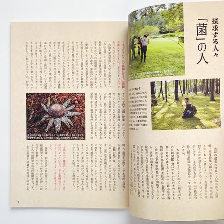 Flâneur Vol .6　探求する人々 菌の人/ 石の人/ 祭の人