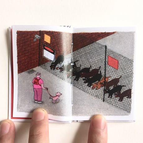 Bird Pit｜I love it and I hate it