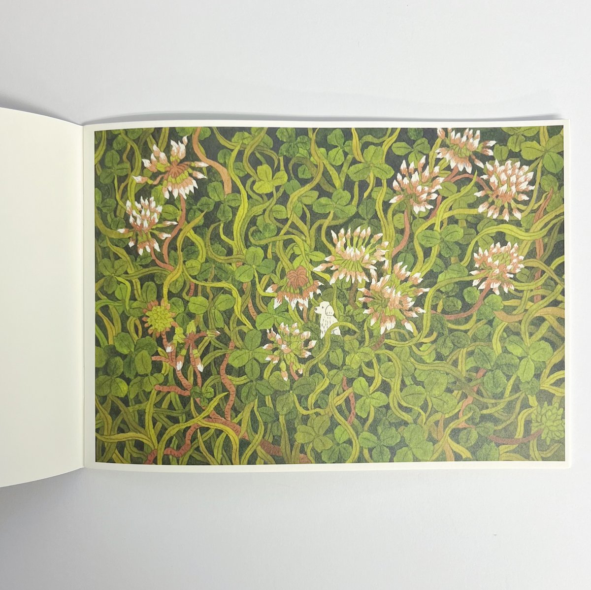 サイン入】中村雅奈｜DANCE OF LEAVES | POPOTAME Books & Art