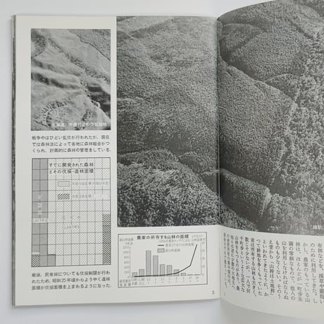 村と森林