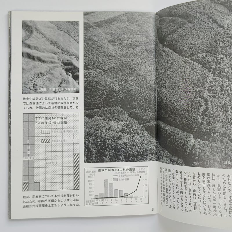 村と森林 | POPOTAME Books & Art